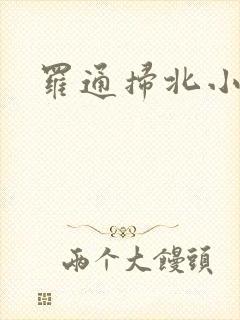 罗通扫北小说