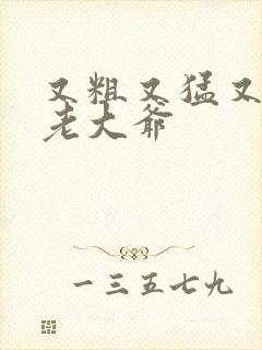 又粗又猛又大爽老大爷