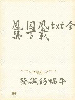 凤囚凰txt全集下载