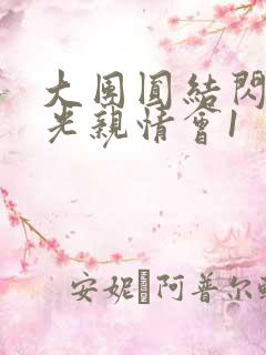 大团圆结闪闪发光亲情会1