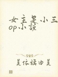 女主是小三的pop小说