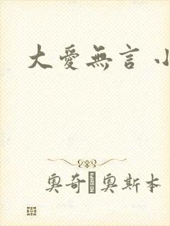 大爱无言 小说