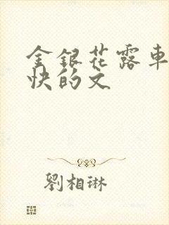 金银花露车速最快的文