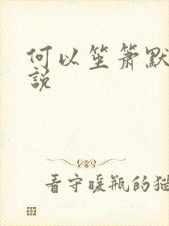 何以笙箫默 小说