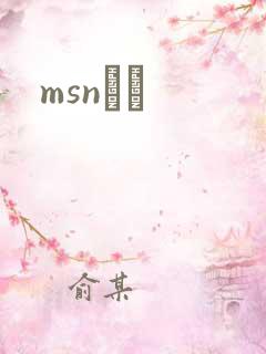 msnС˵
