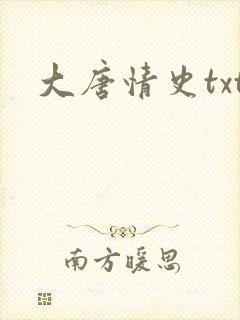 大唐情史txt