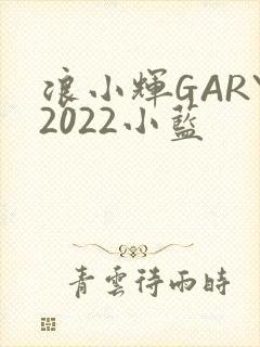 浪小辉GARY2022小蓝