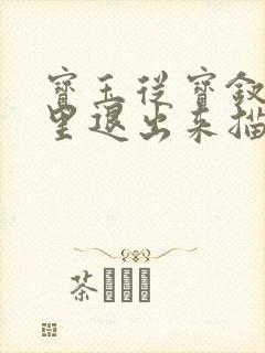 宝玉从宝钗身体里退出来描写