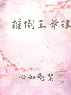 推倒王爷很重要