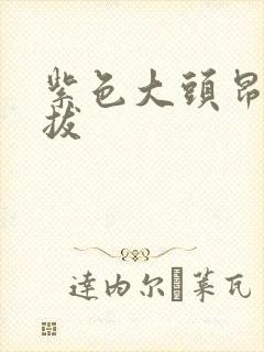 紫色大头昂扬挺拔