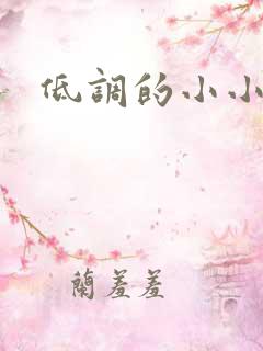 低调的小小宫女