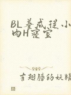 BL养成从小被肉H寝室