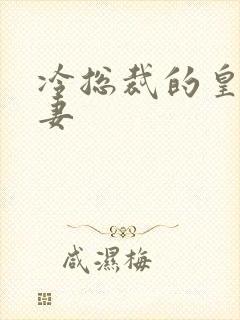 冷总裁的皇后暖妻