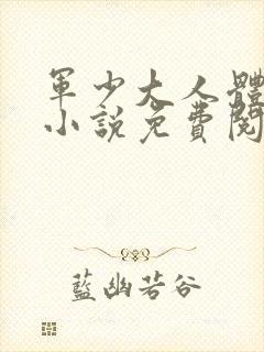 军少大人体力好小说免费阅读