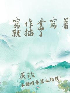 写作业写着写着就插了