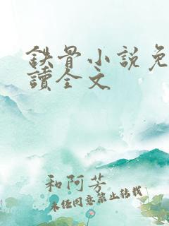 铁骨小说免费阅读全文