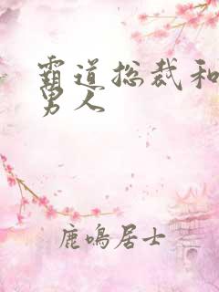 霸道总裁和他的男人