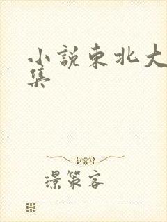 小说东北大炕全集