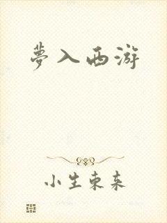 梦入西游