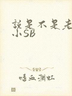 说是不是老公的小SB