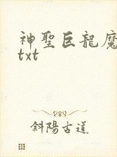 神圣巨龙魔法师txt