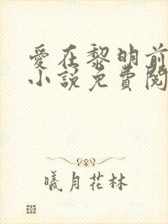 爱在黎明前降落小说免费阅读