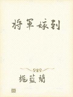 将军嫁到