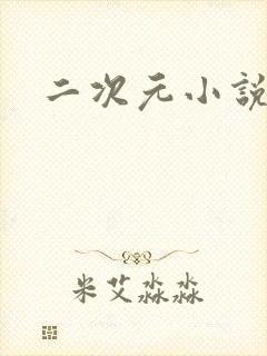 二次元小说网站