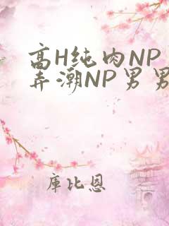 高H纯肉NP 弄潮NP男男