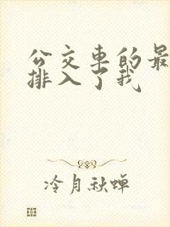 公交车的最后一排入了我