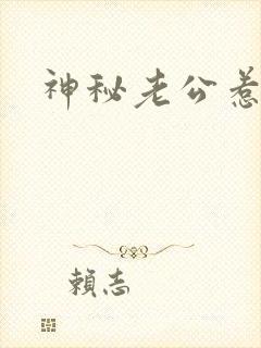 神秘老公惹不起