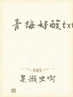 青梅好酸txt