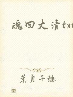 魂回大清txt