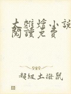 大杂烩小说全集阅读免费