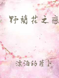 野兰花之恋
