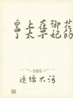 皇上在御花园c了太子妃的网剧