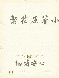 繁花原著小说