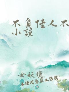 不负佳人不负卿小说