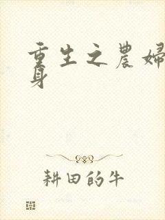 重生之农妇大翻身