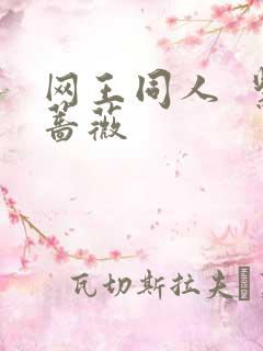 网王同人  紫蔷薇