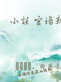 小说 官场新贵