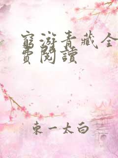 穷游青藏全文免费阅读