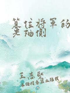 篡位将军的白月光袖侧