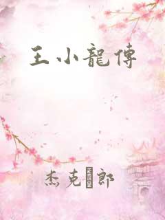 王小龙传