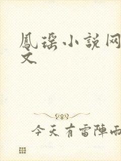 凤瑶小说网高辣文
