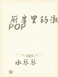 厨房里的激战2POP