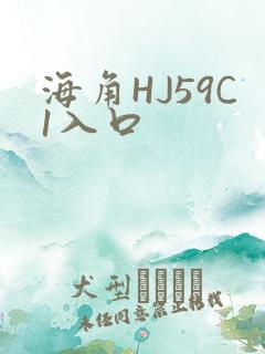 海角HJ59C1入口