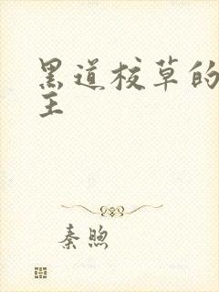 黑道校草的冷公主