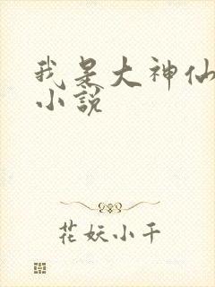 我是大神仙时江小说