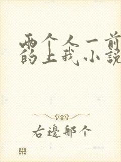 两个人一前一后的上我小说